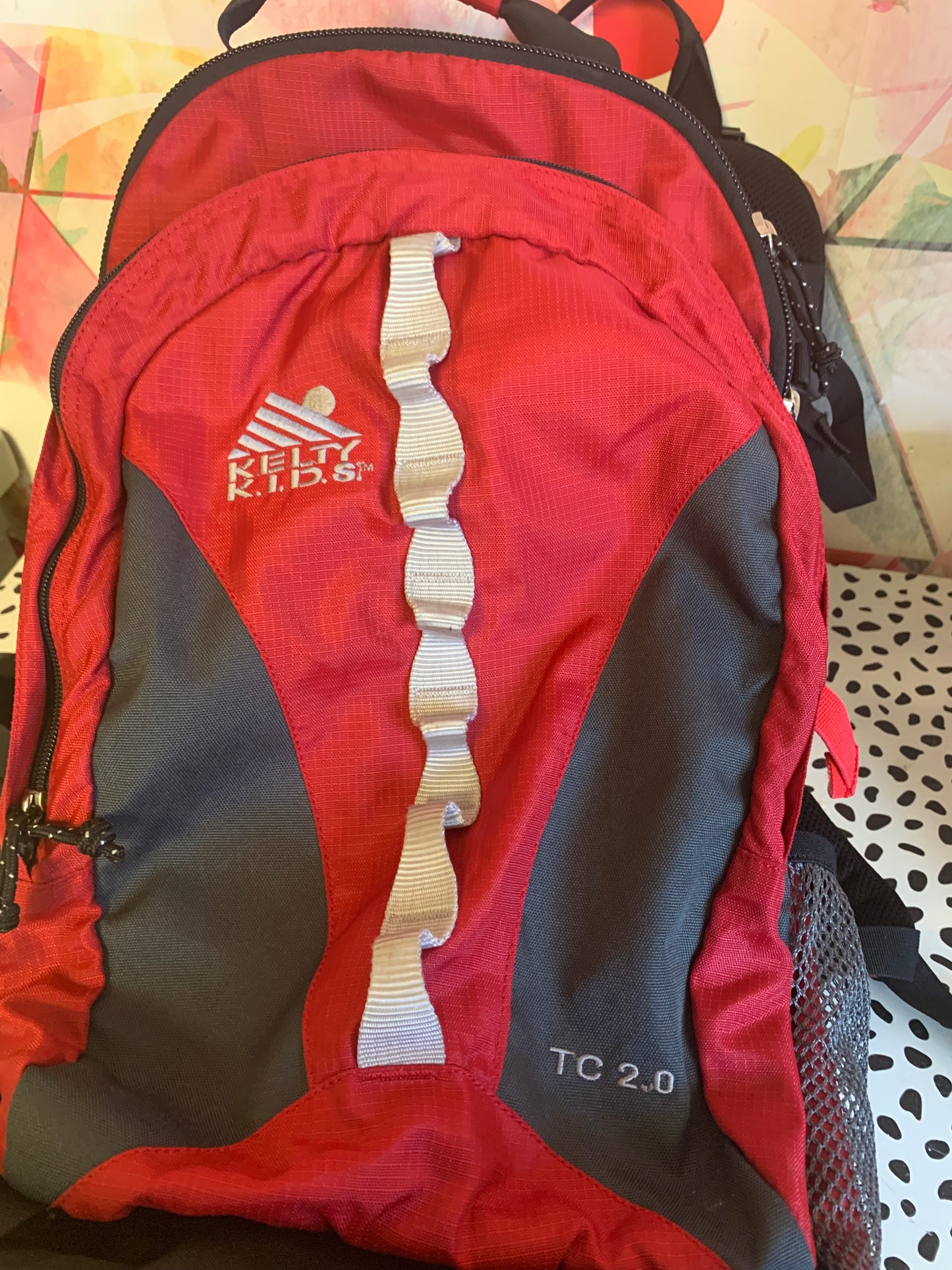 Kelty Kids hiking carrier TC 2.0 $50