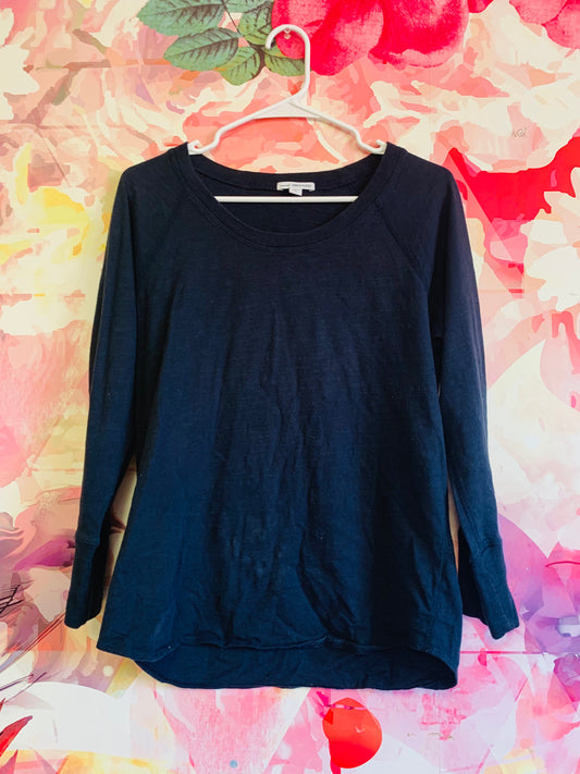 James Perse long sleeve blue shirt with California written on one arm & Waverider on back. Size 3T