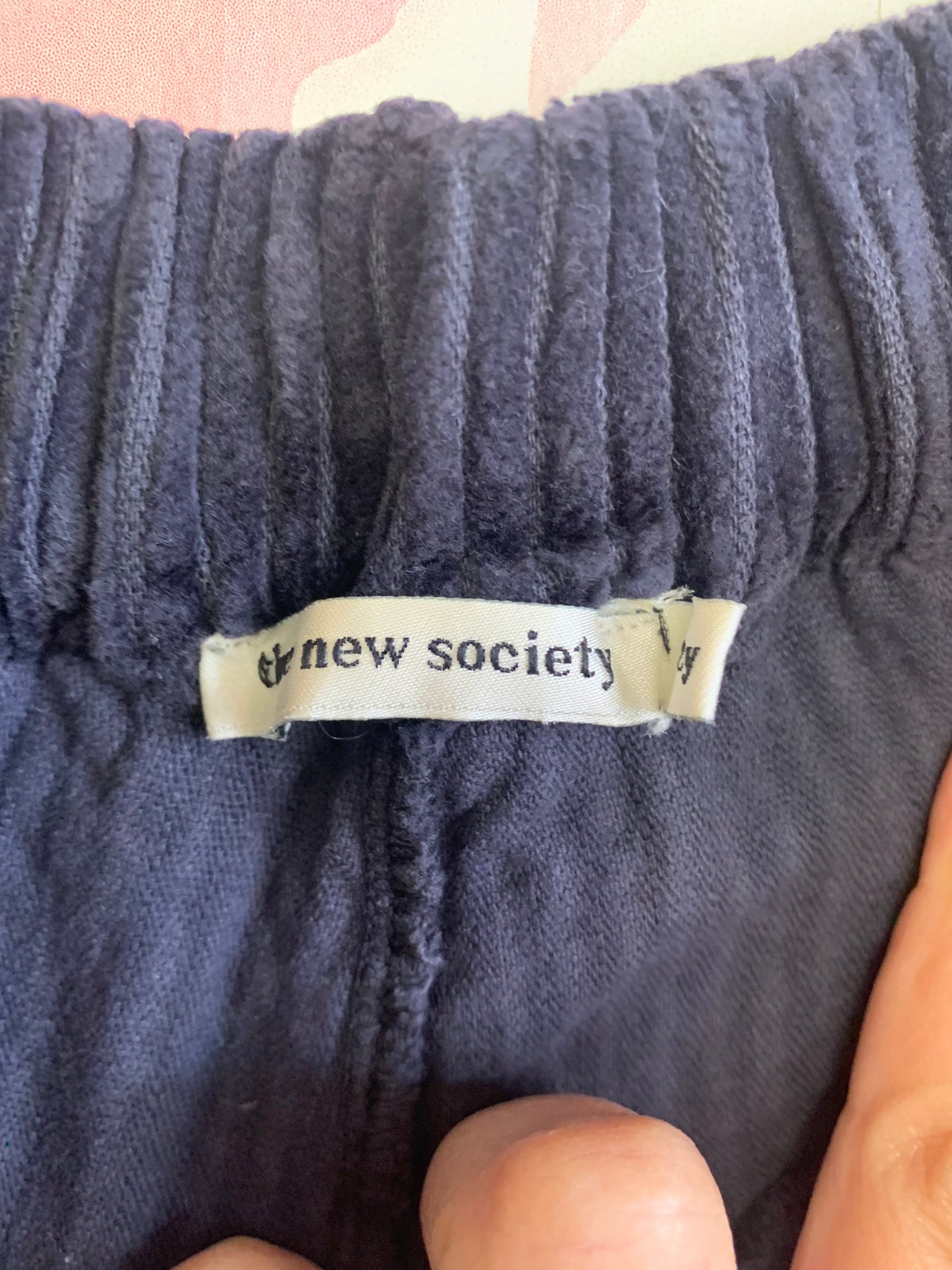 the new society navy blue corduroy pants. Size 12.