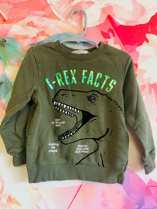 H&M green sweatshirt with shimmery T-REX FACTS and Dino head. Size 3T / 4T