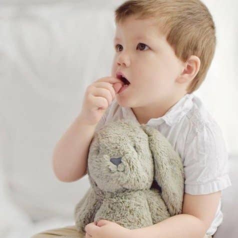 Beau Bunny Soft Toy TTDoll