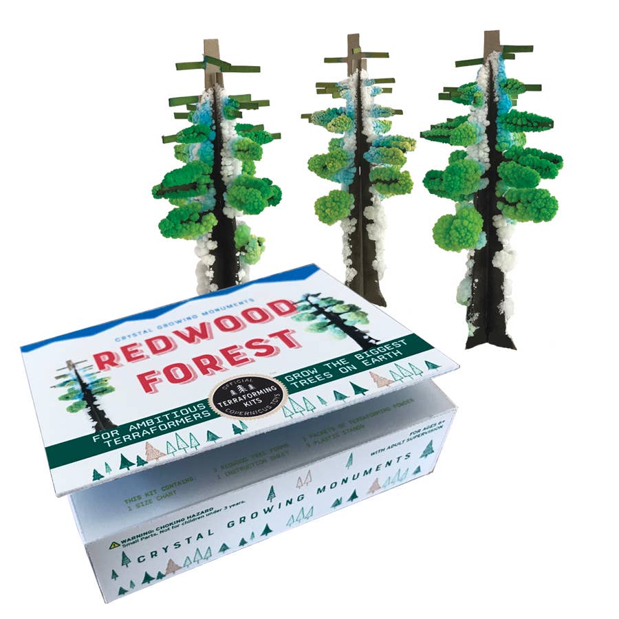 CRYSTAL GROWING REDWOOD FOREST
