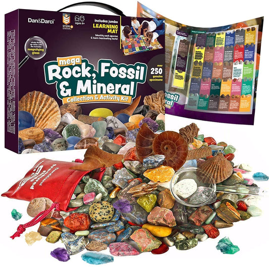 Mega Rock, Fossil & Mineral Collection BTStem