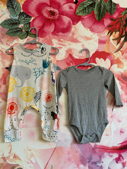 Primary grey long sleeve onesie. White sleeveless romper with red, yellow, green, pink flowers, grey elephant, birds. Size 9-12m.