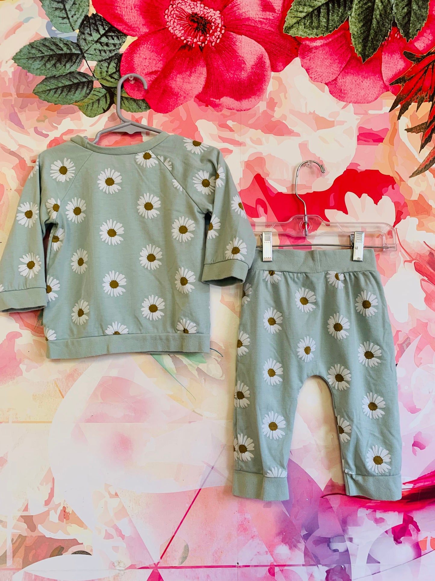 Sage green sweatshirt and joggers with white daisies. Size 3T.