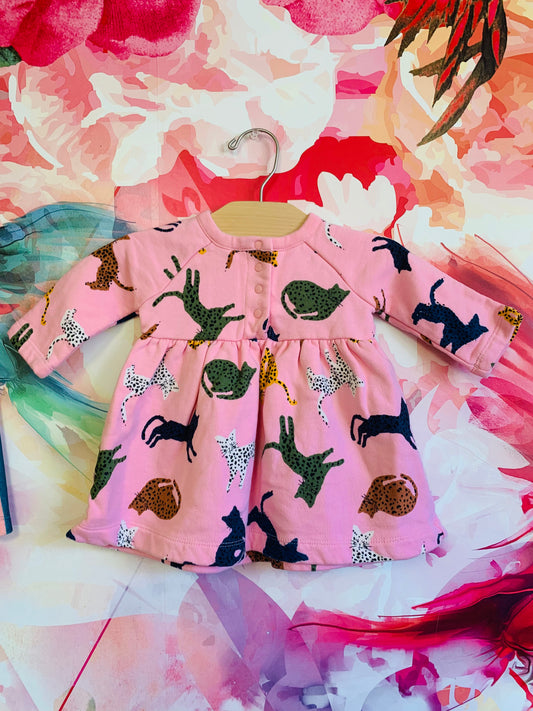 Hanna Andersson pink sweatshirt dress with colorful polka dot cats. Snaps on front. Size 3-6m