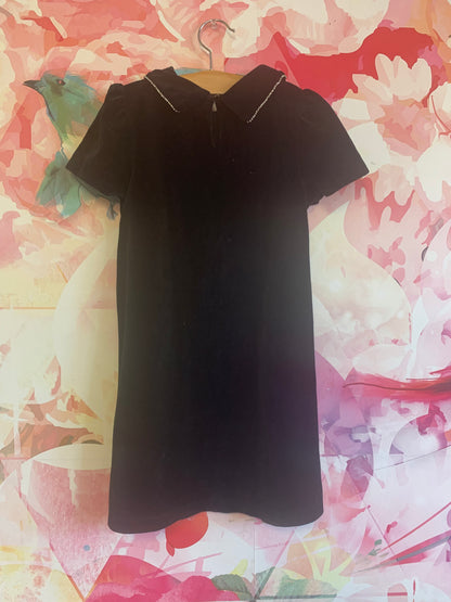 Zara black velvet short sleeve dress with rhinestone Peter Pan collar. Size 8