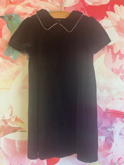 Zara black velvet short sleeve dress with rhinestone Peter Pan collar. Size 8