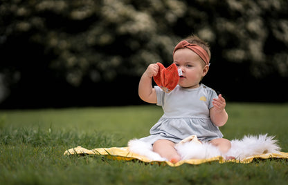 Tikiri Toys LLC - Ladybug Organic Fabric with Crinkle