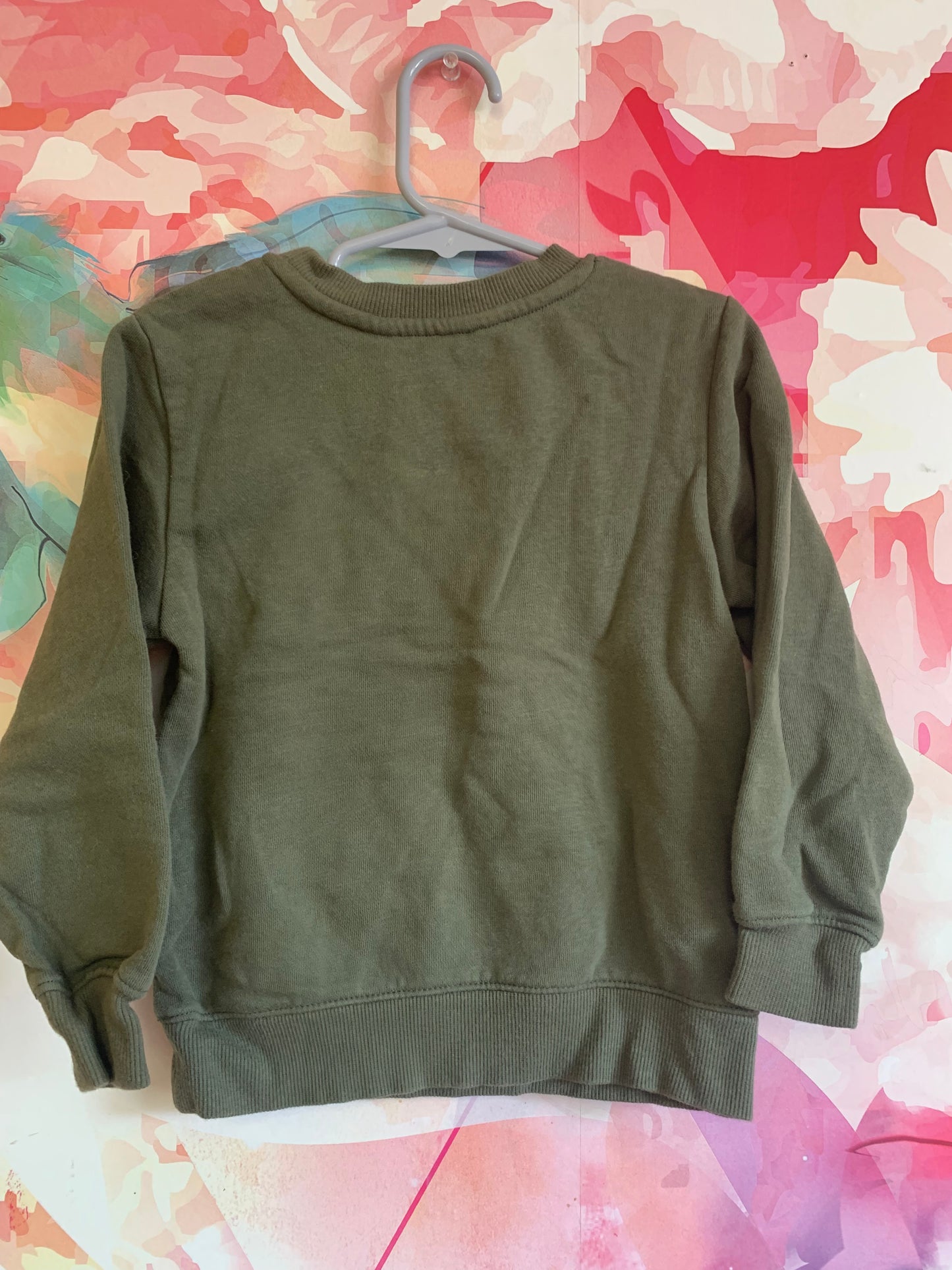 H&M green sweatshirt with shimmery T-REX FACTS and Dino head. Size 3/4