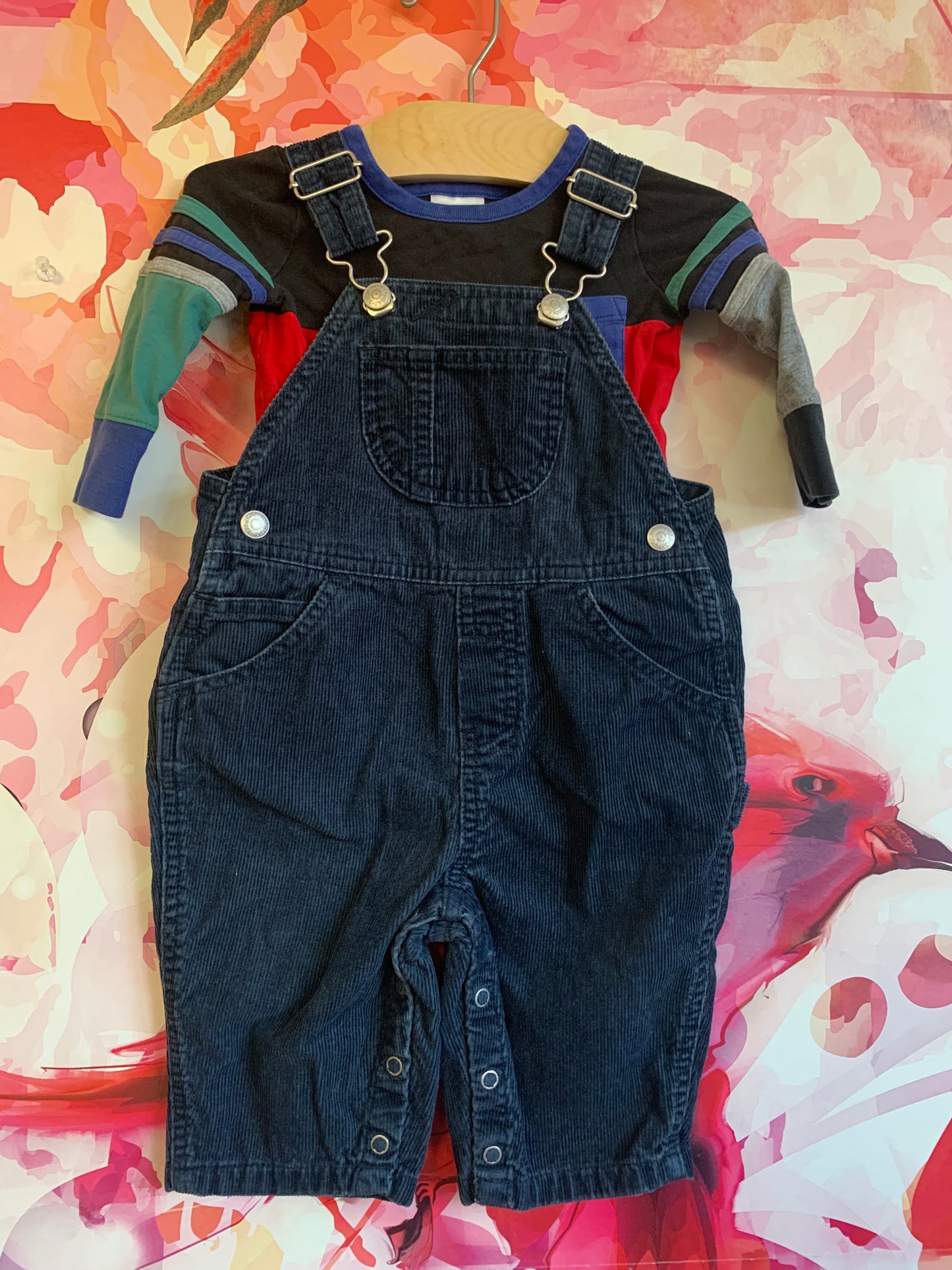 Baby Gap blue corduroy overalls & Hanna Andersson long sleeve top. Both 6-12m