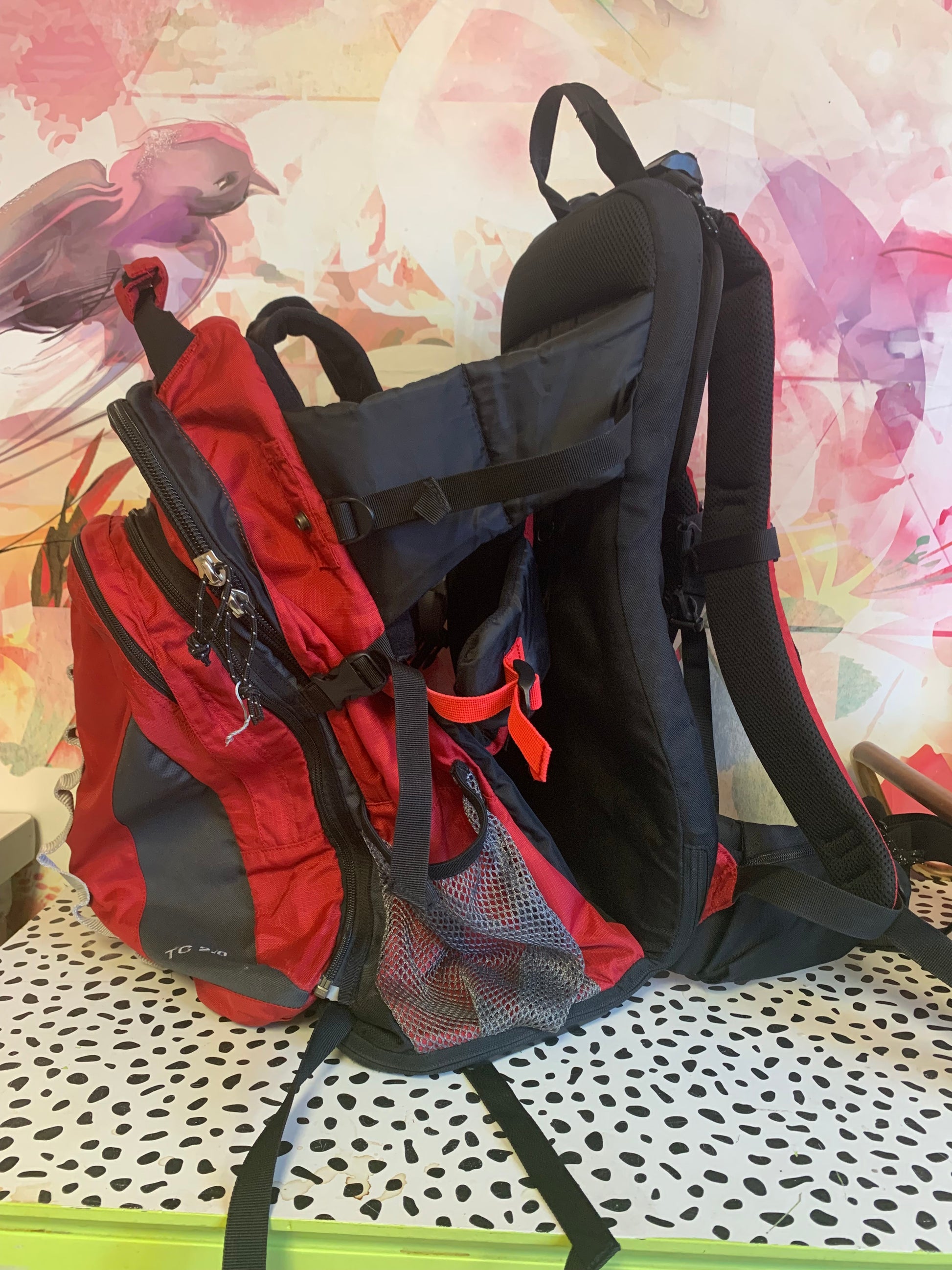 kelty backpack size 2 Kelty Kids hiking carrier TC 2.0 $50 – Cloud & Bunny