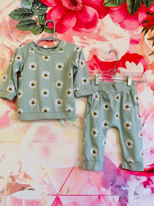 Sage green sweatshirt and joggers with white daisies. Size 3T.