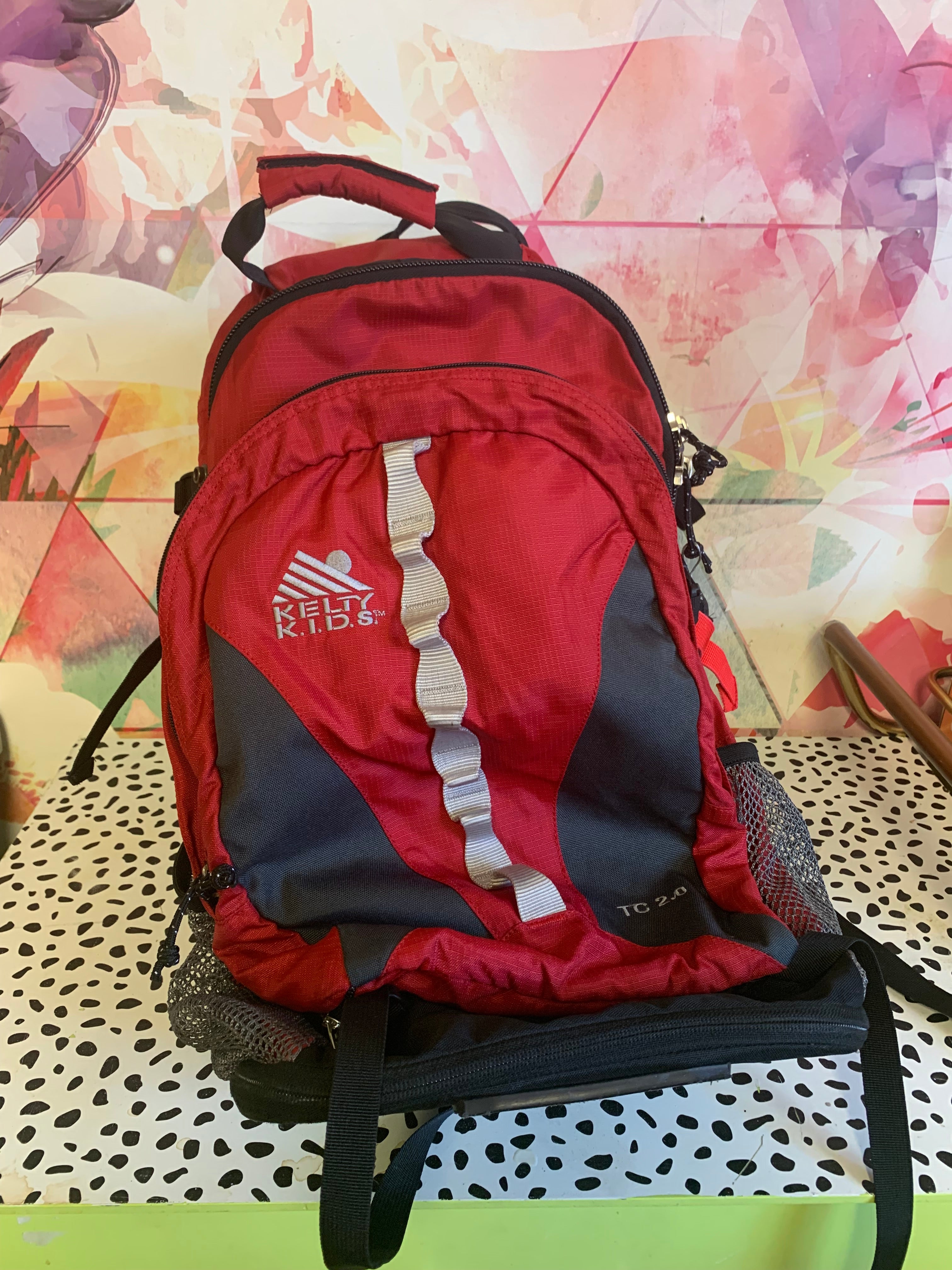 Kelty kids carrier trek online