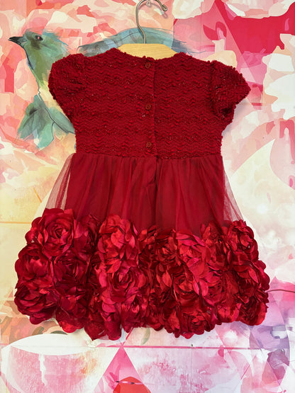 Nannette Kids red short sleeve rose dress. Size 2T.