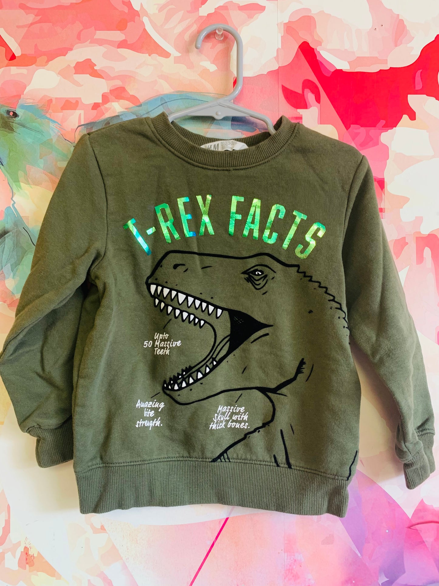 H&M green sweatshirt with shimmery T-REX FACTS and Dino head. Size 3/4