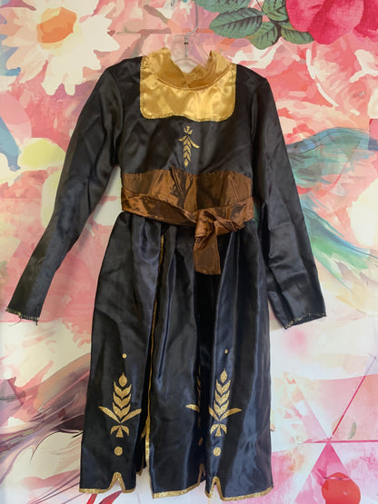 Disney dress up costume. Black, brown, gold long sleeve dress with purple cape. Size 6T.