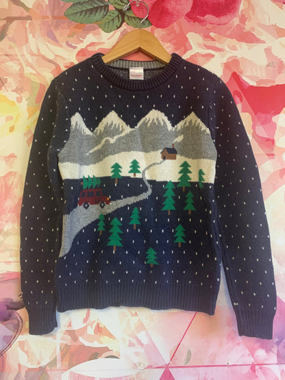 Hanna Andersson blue crewneck sweater with winter scene. Size 8