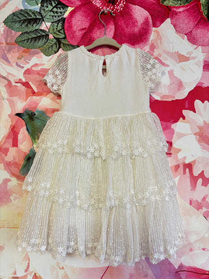 Princess Daliana Halli Tiered Embroidered Flower Girl dress. Size 2T