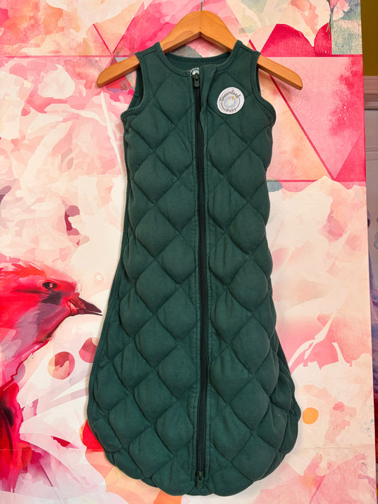 Dreamland Baby green weighted sleep sack. Size 6-12m