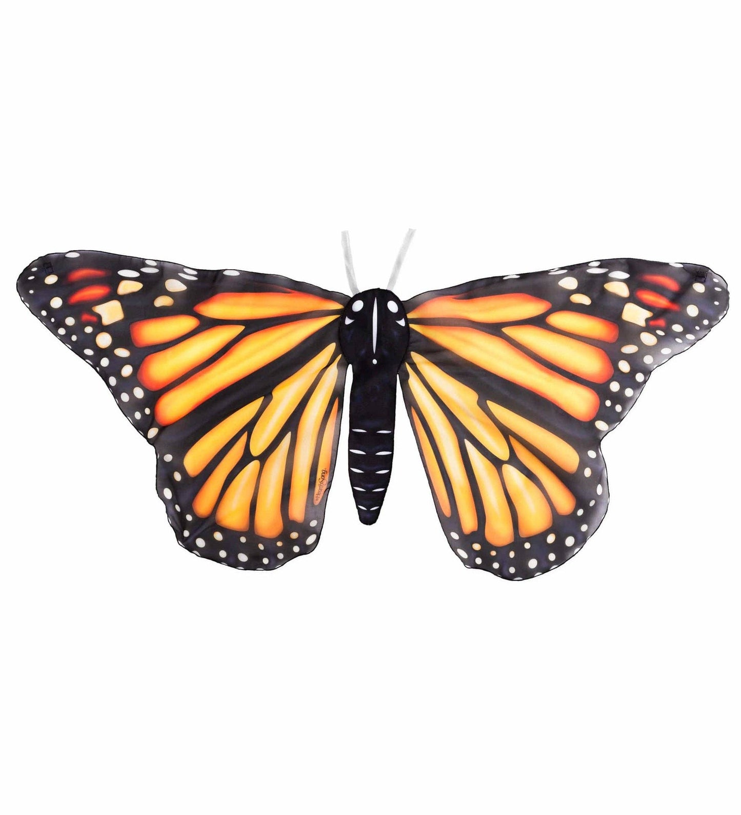 Realistic Butterfly Wings: Colorado Hairstreak