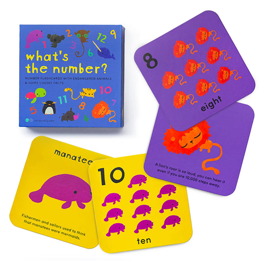 What's the Number? Number Flashcards