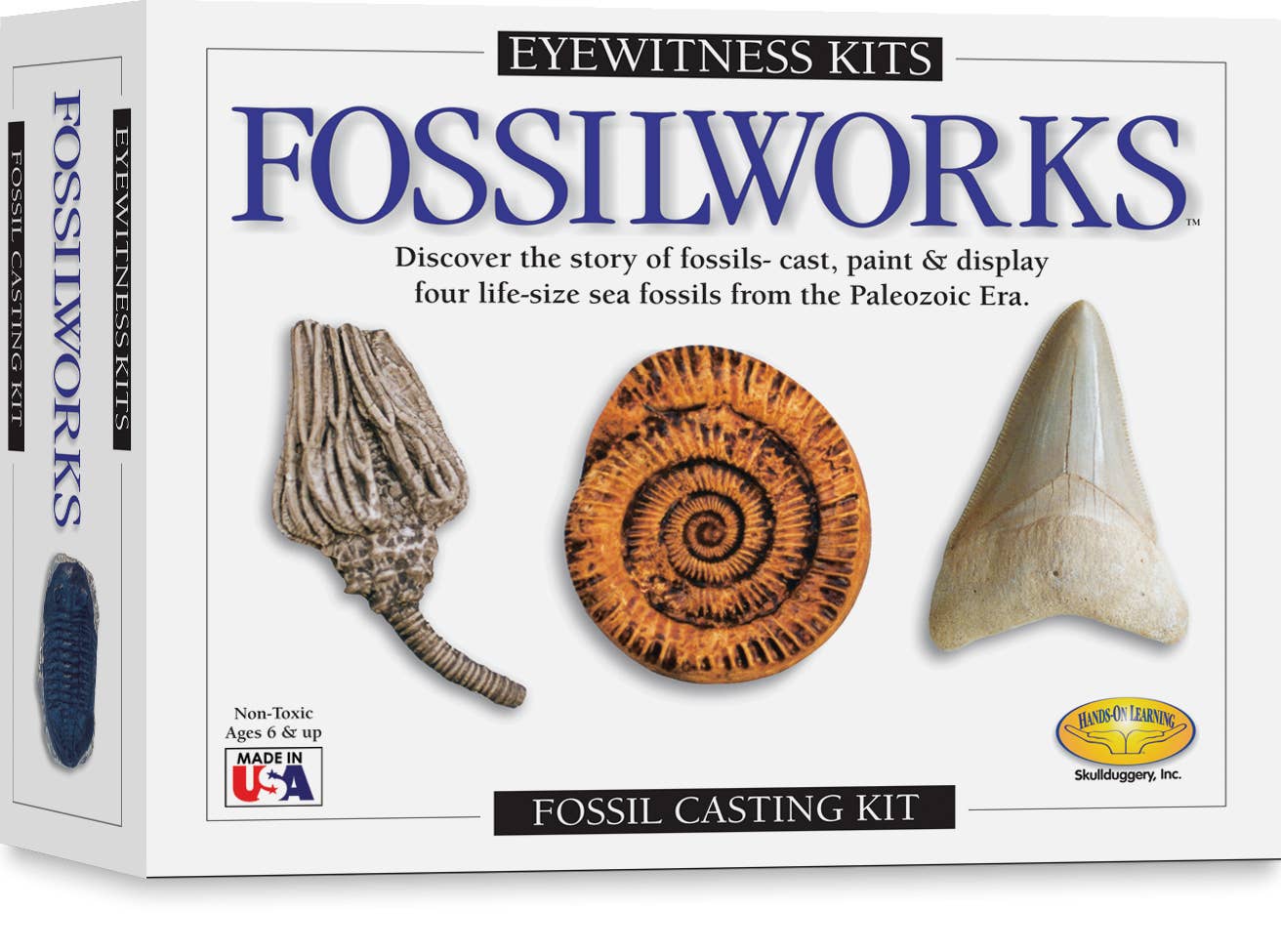 Eyewitness Kits - Fossilworks