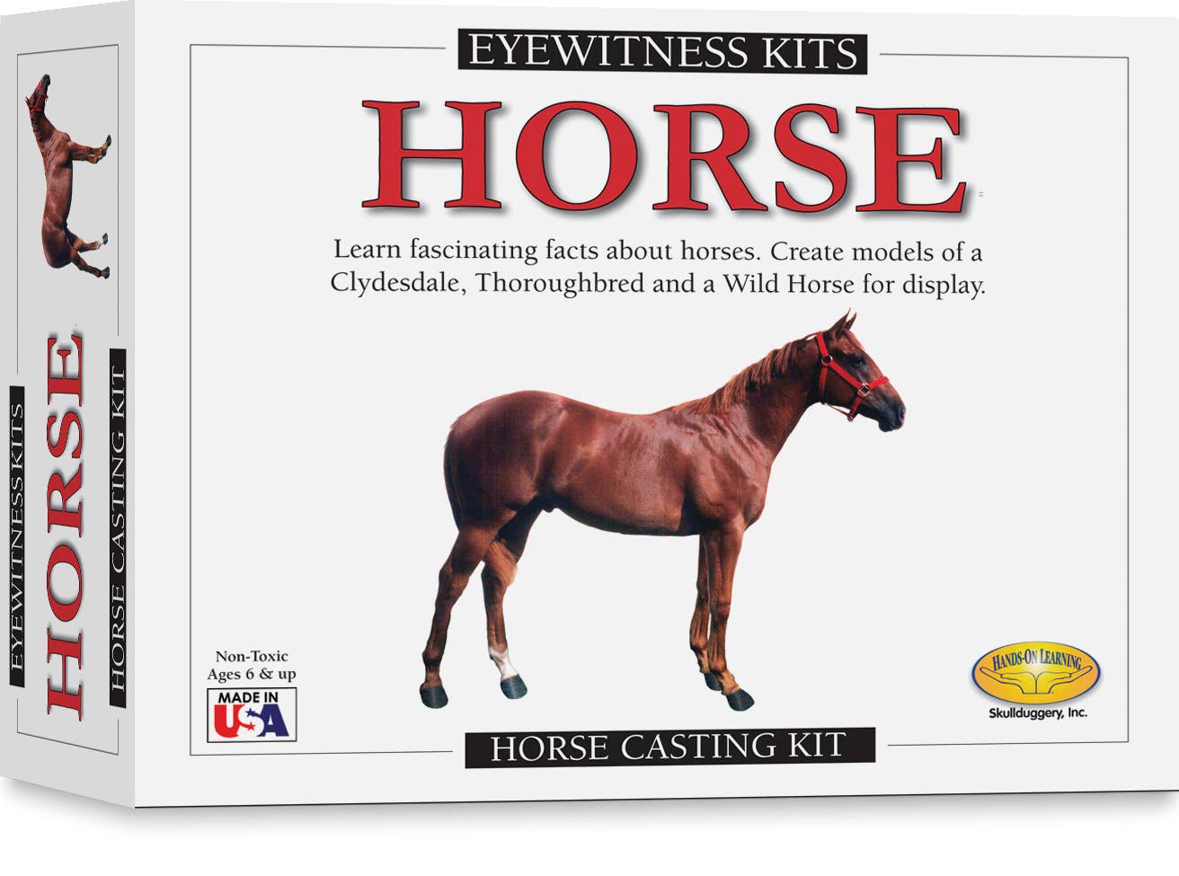 Eyewitness Kits - Horse